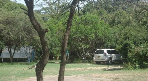 Enkolong Tented Camp Maasai Mara Exterior foto